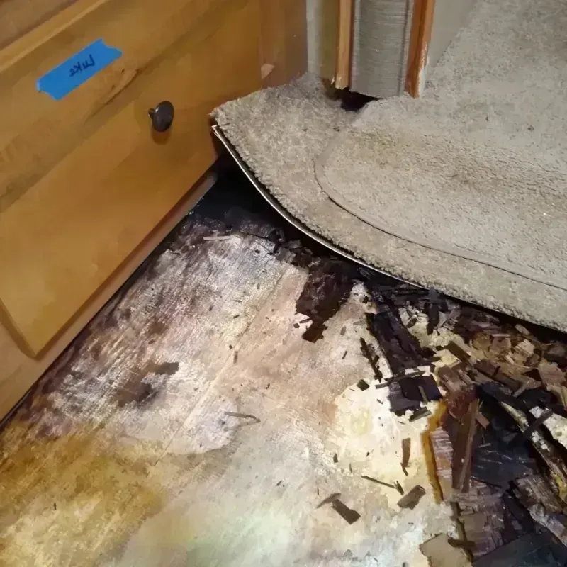 Wood Floor Water Damage in Apollo Beach, FL